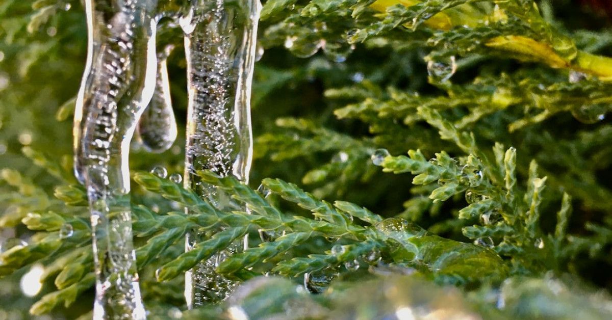 Best Irish Birthday Wishes for an Unforgettable Celebration