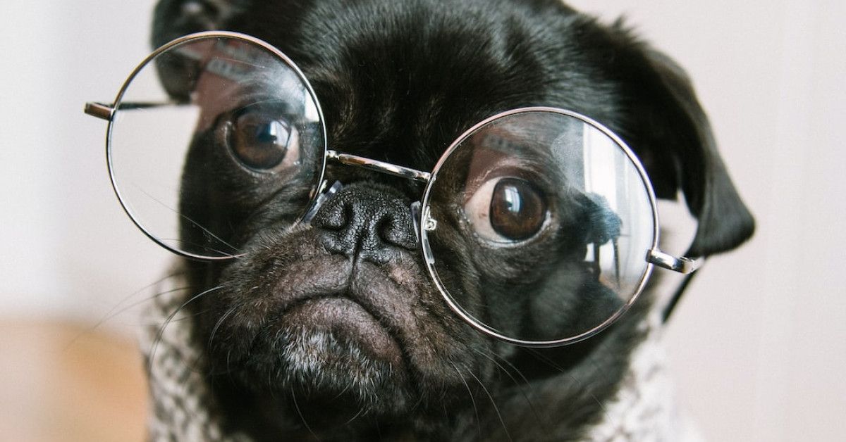 Image: Funny quotes and comedy videos for a brighter day.