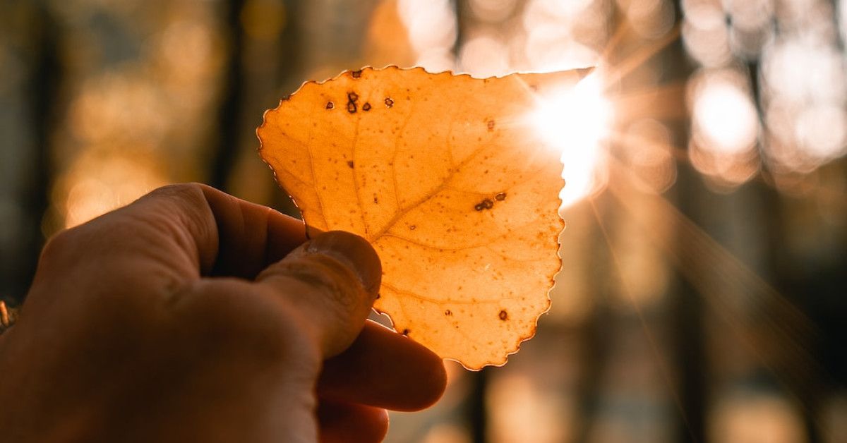 Humorous 70th birthday quotes for a joyful celebration