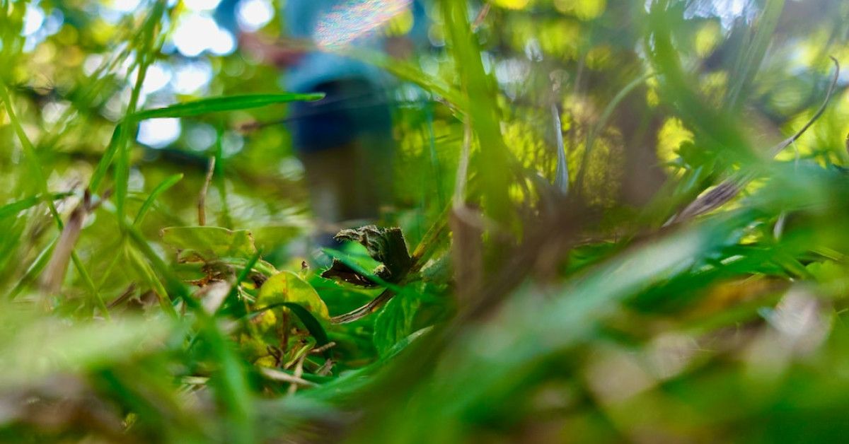 "Arabic love quotes collage for romantic inspiration."