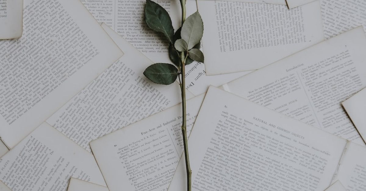 "Atticus quote about love on a serene background."