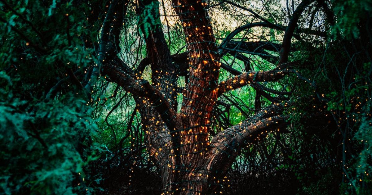 Discover 55 Unforgettable Literary Quotes - Icerikplanla Image