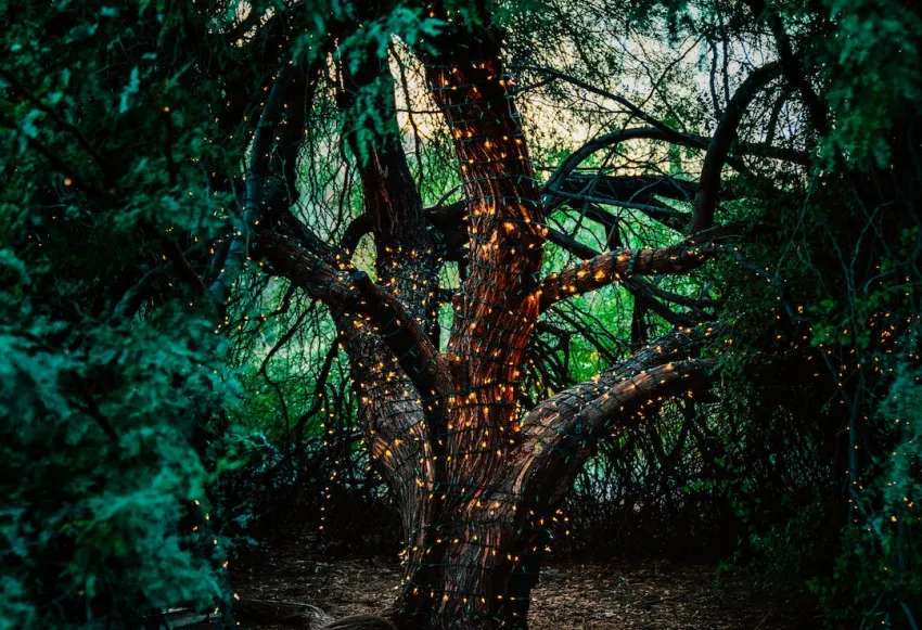 Discover 55 Unforgettable Literary Quotes - Icerikplanla Image