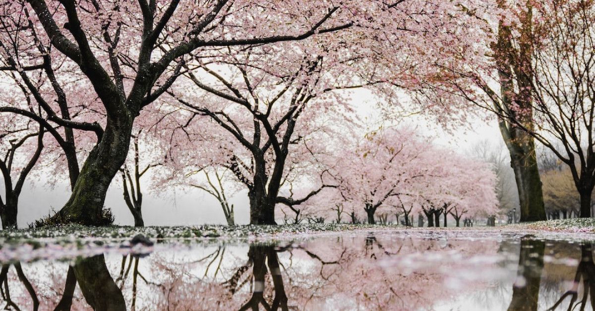 35 mindfulness quotes for self-reflection, improve clarity and focus.