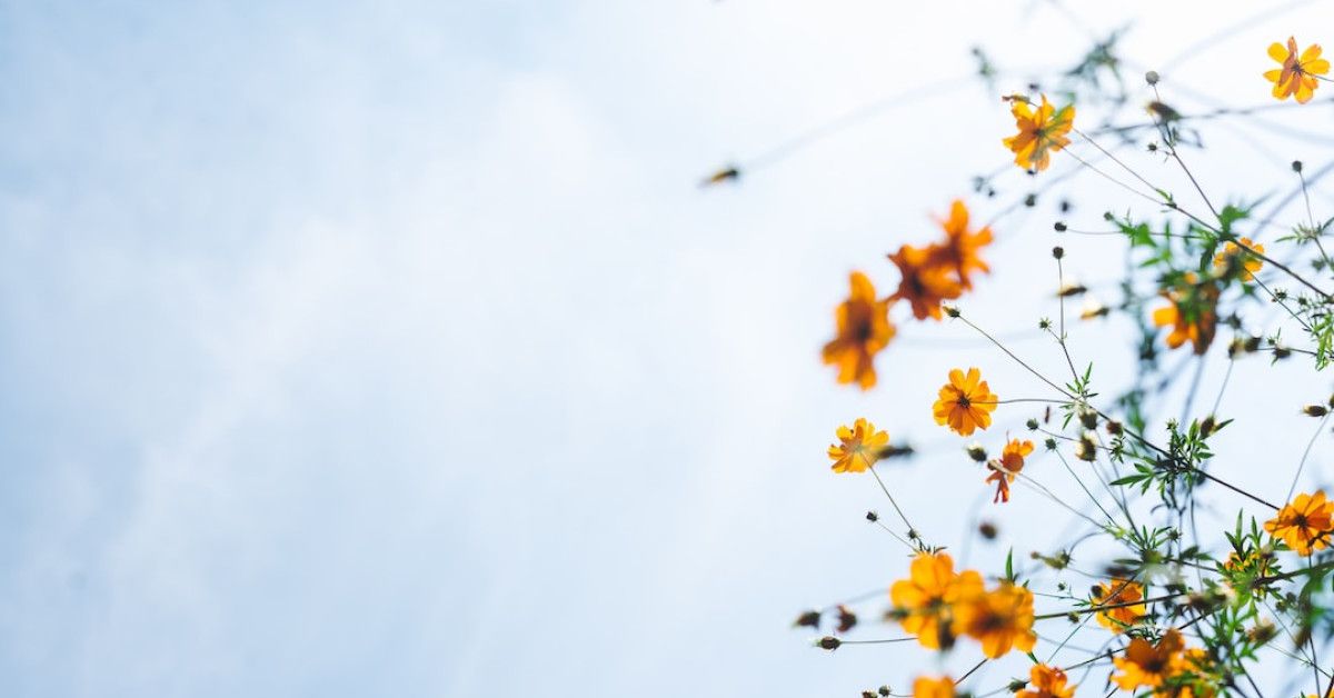 Discover peace with 25 mindfulness quotes for self-care.