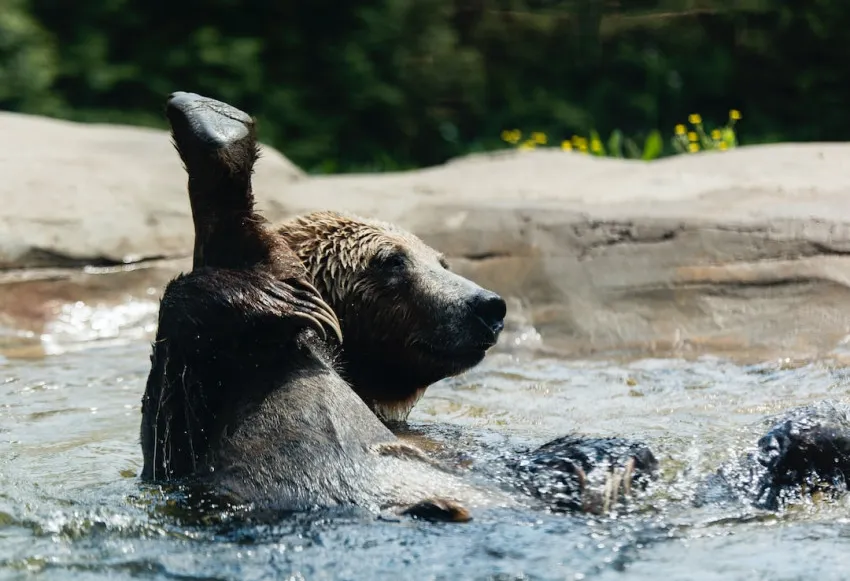 15 Funny Jokes and Hilarious Memes - Get Ready!