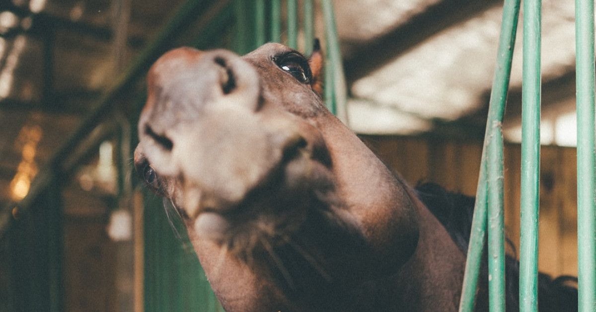 35 funny jokes and hilarious memes for lots of laughter