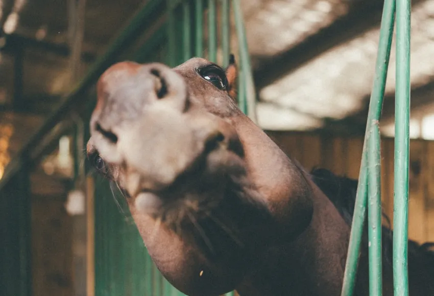 35 funny jokes and hilarious memes for lots of laughter