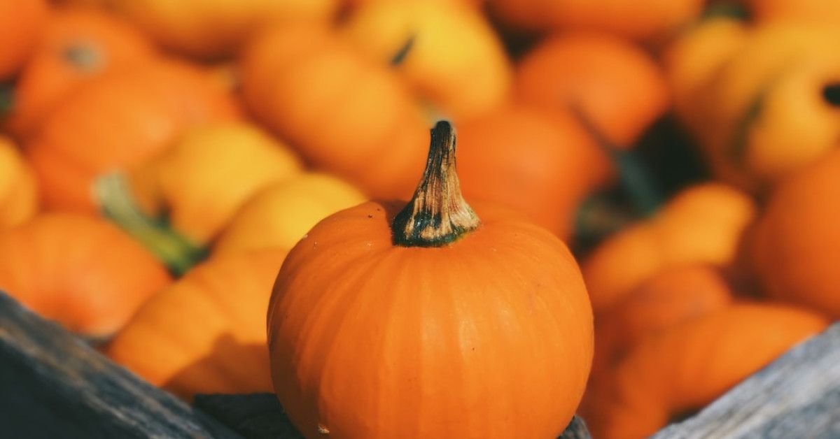 Rediscover the magic of love with heartwarming relationship quotes.