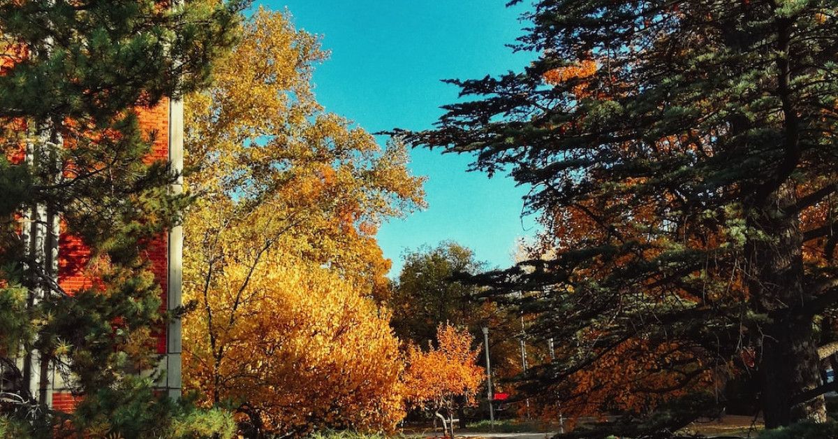 Ultimate guide to writing memorable birthday wishes for your boss.